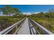 Nature trail boardwalk leading through lush mangroves at 1479 Landings Cir # 41, Sarasota, FL 34231