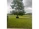 Spacious backyard with lush green grass and a large tree at 15986 Cutting Horse Trl, Myakka City, FL 34251