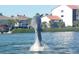 Dolphin jumping in the water near condos at 1602 Stickney Point Rd # 1602-301, Sarasota, FL 34231