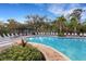 Resort-style pool with plenty of lounge chairs at 2471 Midnight Pearl Dr, Sarasota, FL 34240