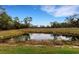 Serene pond with lush greenery, offering a peaceful view at 2471 Midnight Pearl Dr, Sarasota, FL 34240