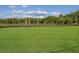 Expansive green space perfect for recreation at 3324 Big Sky Way, Lakewood Ranch, FL 34211