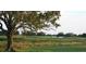 Picturesque golf course with a tree and grassy areas at 3354 Founders Club Dr, Sarasota, FL 34240