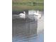 Three white pelicans swimming on a calm lake with reflections at 4110 Mossy Limb Ct, Palmetto, FL 34221