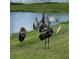 Sandhill cranes near a pond, one with wings spread wide at 4110 Mossy Limb Ct, Palmetto, FL 34221