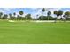 Green grass golf course with palm trees at 675 Longboat Club Rd # 22A, Longboat Key, FL 34228