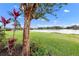 Landscaped backyard with lake view and lush greenery at 7117 River Club Blvd, Bradenton, FL 34202