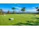 Outdoor cornhole area with astroturf and lake views at 8052 Grande Shores Dr, Sarasota, FL 34240