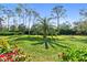 Landscaped backyard with lush lawn and tropical plants at 8628 Woodbriar Dr, Sarasota, FL 34238