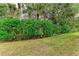 Landscaped backyard with lush greenery and privacy hedge at 120 Grand Oak Cir, Venice, FL 34292