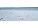 Scenic beach view with white sand and ocean at 145 Avenida Messina # 3, Sarasota, FL 34242