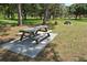 Two wooden picnic tables under shady trees at 1778 10Th St, Sarasota, FL 34236