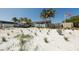 Beach pavilion and sandy shoreline with palm trees at 3414 Old Oak Dr, Sarasota, FL 34239