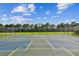 Sports court with basketball, pickleball, and tennis areas at 10605 58Th E St, Parrish, FL 34219