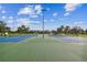 Two lighted tennis courts perfect for recreation at 10605 58Th E St, Parrish, FL 34219