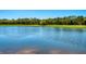 Scenic lake view with a tree-lined shoreline at 17520 Gawthrop Dr # 102, Bradenton, FL 34211