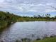 Serene lake view with calm water and natural landscape at 1803 Ashley Dr, Venice, FL 34292