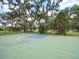 Enjoy a game on this community outdoor basketball court at 3543 Woodmont Dr, Parrish, FL 34219