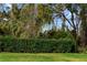 Lush green hedge providing privacy and curb appeal at 3543 Woodmont Dr, Parrish, FL 34219