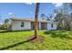 Backyard view of home with palm tree and grassy lawn at 5629 Crenshaw Ln, North Port, FL 34286