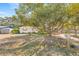 Front yard view of a ranch style home with a large tree at 9066 Oneal Ave, New Port Richey, FL 34654