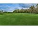 Green golf course putting green with flag at 9481 Highland Oak Dr # 1403, Tampa, FL 33647