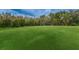Lush green golf course putting green at 9481 Highland Oak Dr # 1403, Tampa, FL 33647