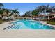 Relaxing community pool with surrounding lounge chairs at 9481 Highland Oak Dr # 1403, Tampa, FL 33647