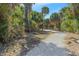 Scenic gravel walking path through a lush, tropical landscape at 12410 Osorio Ct # 101, Sarasota, FL 34238