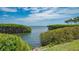 Stunning waterfront view with lush mangrove trees at 2110 Harbourside Dr # 522, Longboat Key, FL 34228
