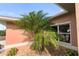 Palm tree next to the house's exterior wall at 2720 S Biscayne Dr, North Port, FL 34287