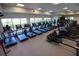 Modern fitness center with treadmills, ellipticals and other cardio equipment at 4326 Silo Port Ct, Lakewood Ranch, FL 34211