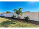 Landscaped backyard with palm trees and white fence at 4581 E Dover Street Cir, Bradenton, FL 34203