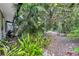 Landscaped backyard with mature tropical plants and trees at 6231 Beechwood Ave, Sarasota, FL 34231