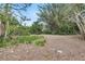 Large backyard with mature trees and vegetation at 6231 Beechwood Ave, Sarasota, FL 34231