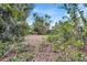 Wooded backyard area with cleared space at 6231 Beechwood Ave, Sarasota, FL 34231