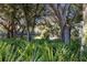 Picturesque wooden bridge nestled amongst verdant trees and foliage at 6726 Virginia Xing, University Park, FL 34201