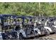 Row of pristine golf carts ready for a day on the course at 6726 Virginia Xing, University Park, FL 34201