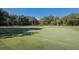 Well-maintained putting green with flags and surrounding grass at 6726 Virginia Xing, University Park, FL 34201
