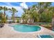 Inviting freeform pool surrounded by lush landscaping at 727 Holly Rd, Anna Maria, FL 34216