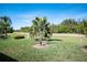 Landscaped backyard with lush green grass and a palm tree at 8282 Parkside Dr, Englewood, FL 34224