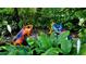 Three colorful frog statues nestled among lush tropical foliage at 888 S Orange Ave # 3D, Sarasota, FL 34236