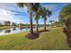 Serene backyard oasis with pond view, lush landscaping, and palm trees at 19451 Quisto St, Venice, FL 34293