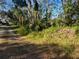 Wooded lot with overgrown vegetation and a dirt path at 4122 N Lockwood Ridge Rd, Sarasota, FL 34234