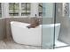 Spa-like bathroom featuring a large soaking tub and glass shower at 1450 Bern Creek Loop, Sarasota, FL 34240