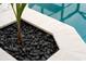 Landscaped planter with black river rocks and palm tree at 1450 Bern Creek Loop, Sarasota, FL 34240