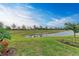 Landscaped backyard with pond view at 17120 Cresswind Ter, Bradenton, FL 34211