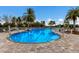 Inviting kidney-shaped swimming pool with lounge chairs at 3409 Anchor Bay Trl, Lakewood Ranch, FL 34211