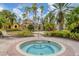 Community hot tub with palm trees and resort-style landscaping at 5700 Bentgrass Dr # 16-211, Sarasota, FL 34235