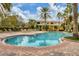 Inviting community pool with lounge chairs at 5700 Bentgrass Dr # 16-211, Sarasota, FL 34235